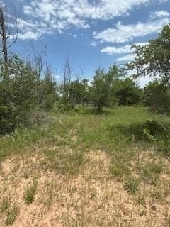 17.64 acres in Comanche County - photo 15
