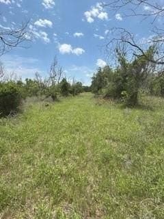 17.64 acres in Comanche County - photo 17