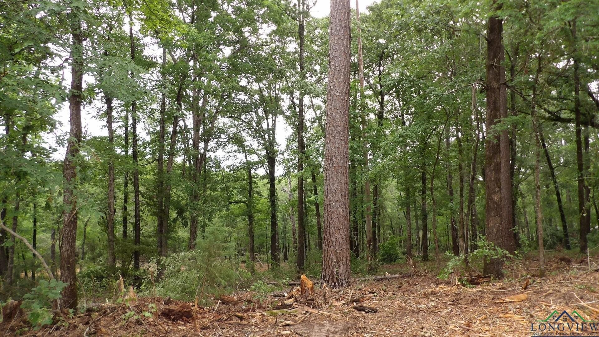 3 acres in Harrison County - photo 8
