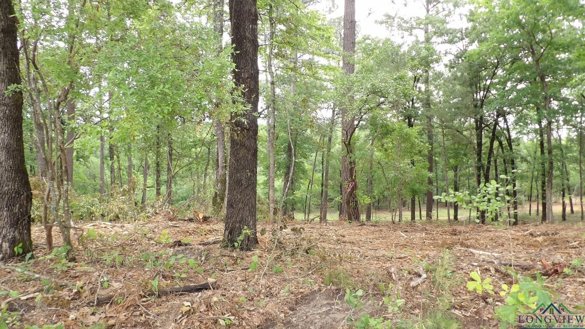 3 acres in Harrison County - photo 2