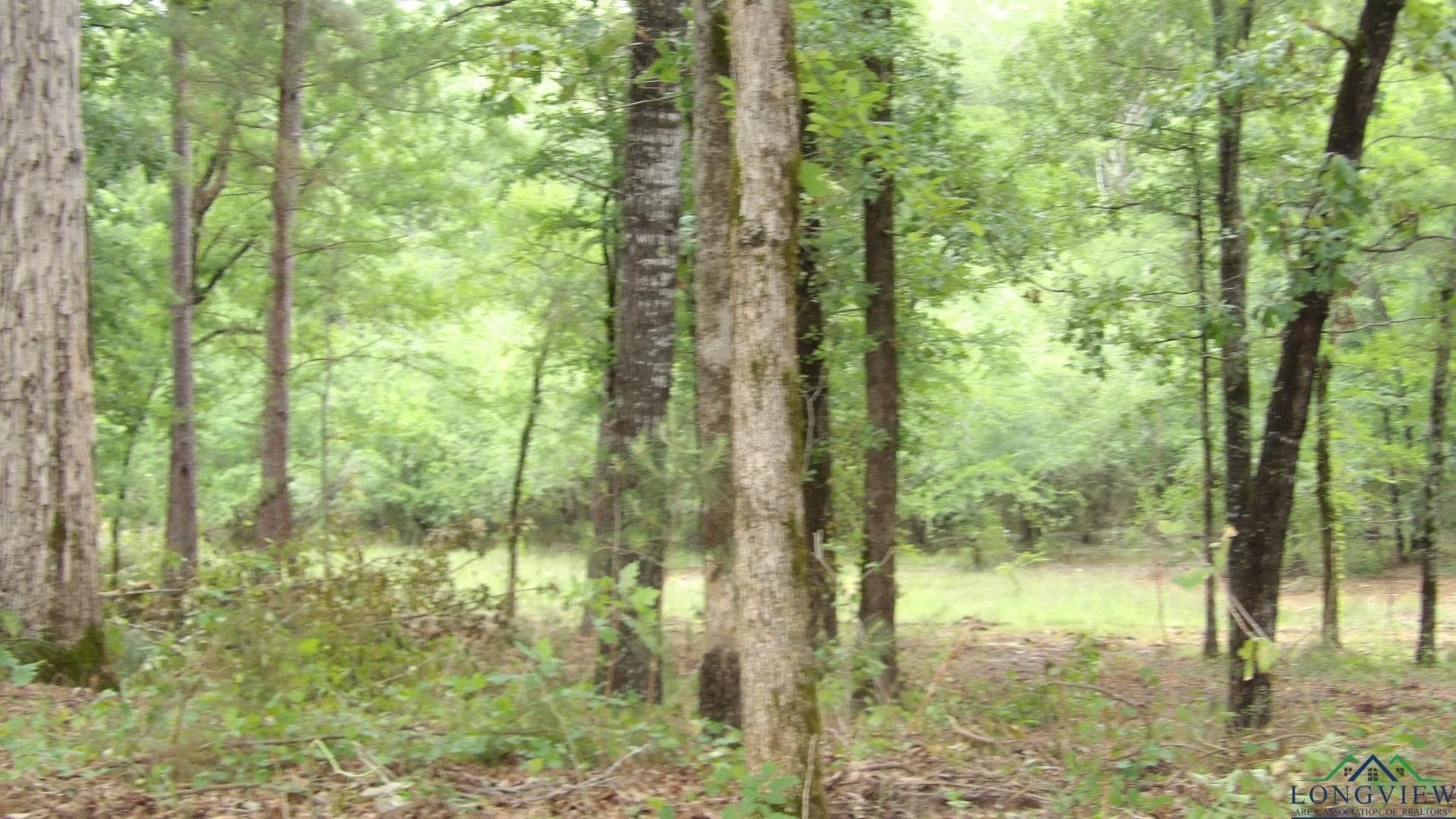 3 acres in Harrison County - photo 5
