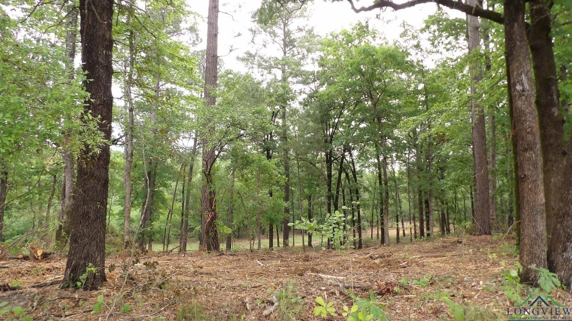3 acres in Harrison County - photo 3