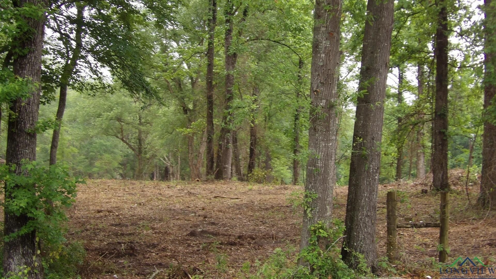 3 acres in Harrison County - photo 12