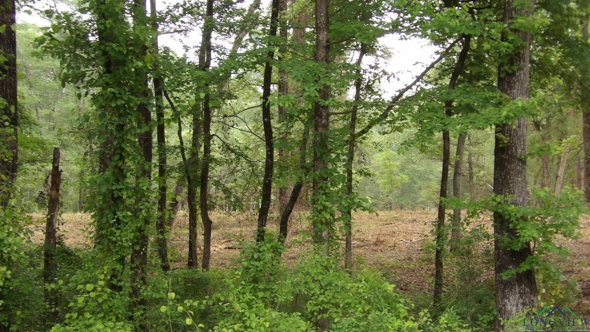 3 acres in Harrison County - photo 11