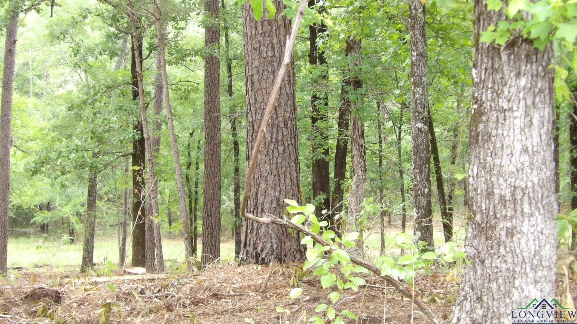 3 acres in Harrison County - photo 4