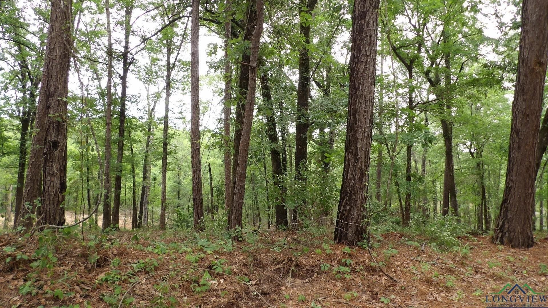 3 acres in Harrison County - photo 9