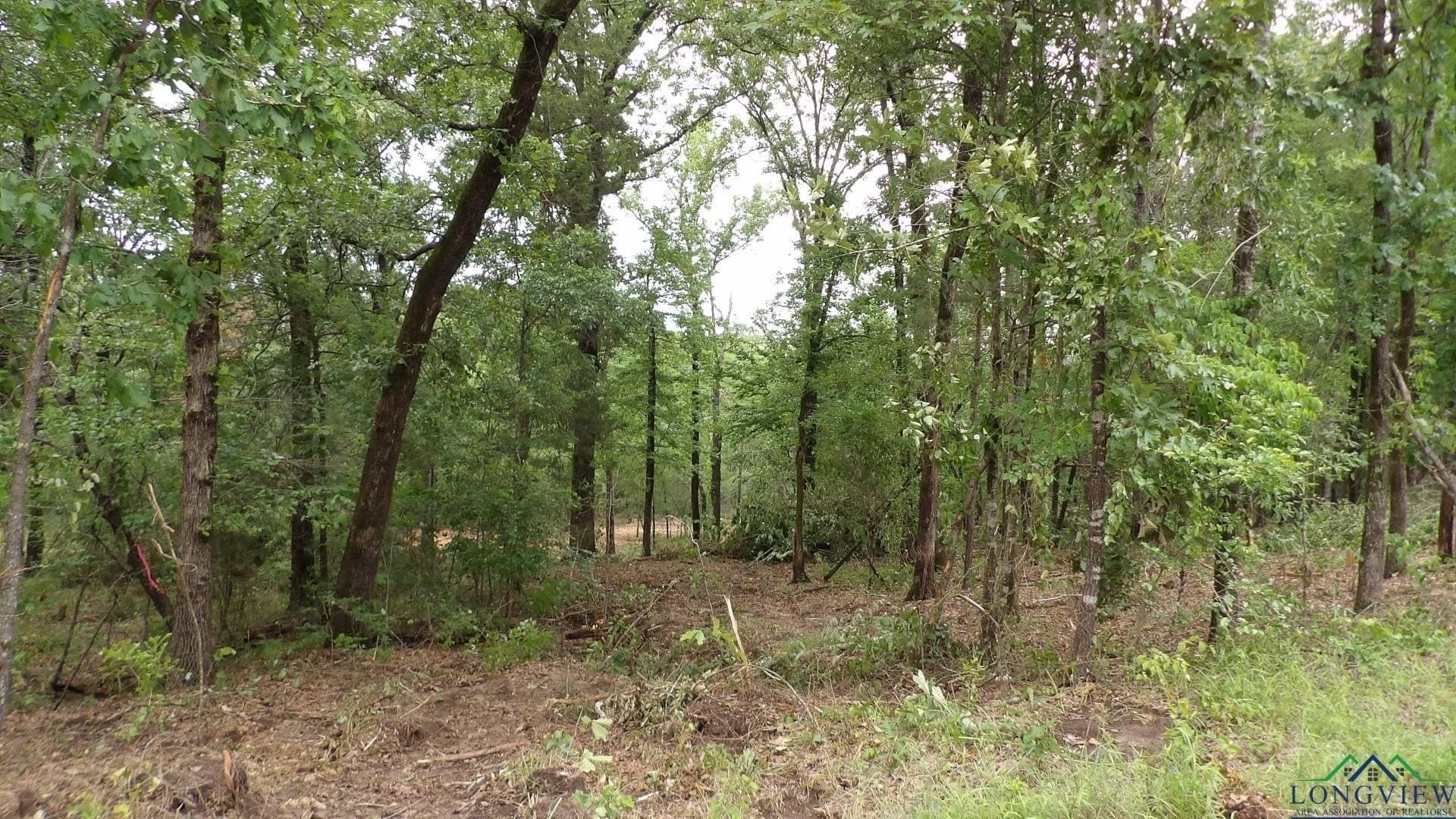 3 acres in Harrison County - photo 6