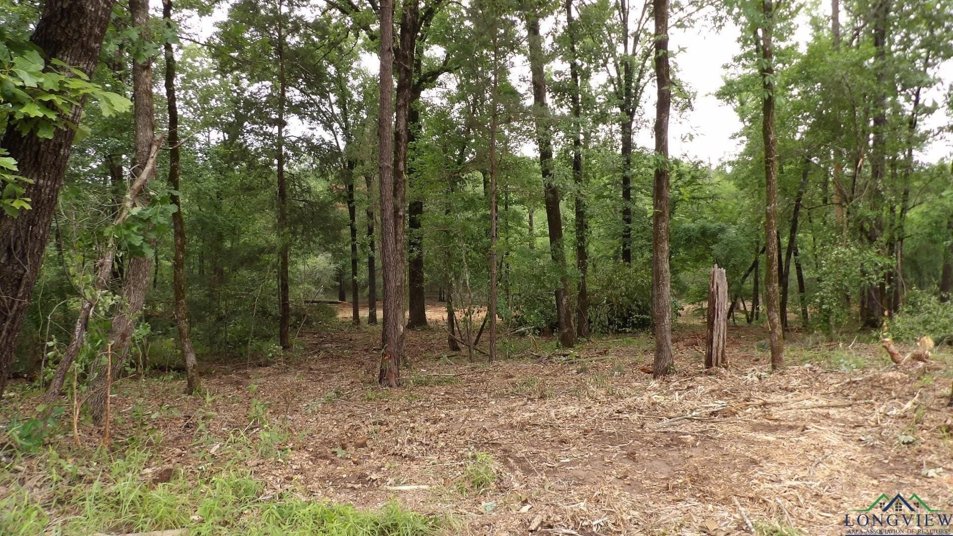 3 acres in Harrison County - photo 7