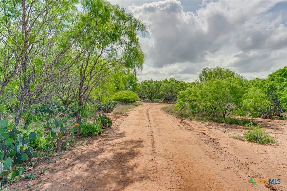12.04 acres in Atascosa County - photo 3