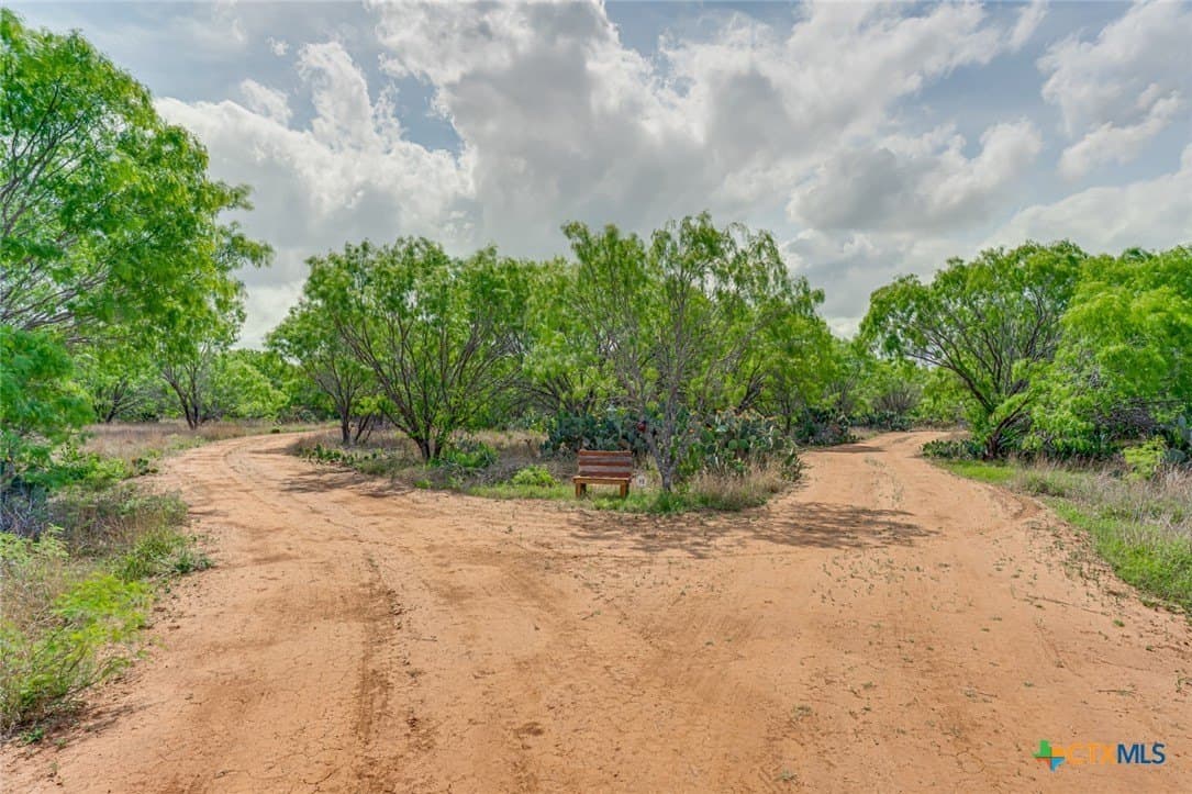 12.04 acres in Atascosa County - photo 4