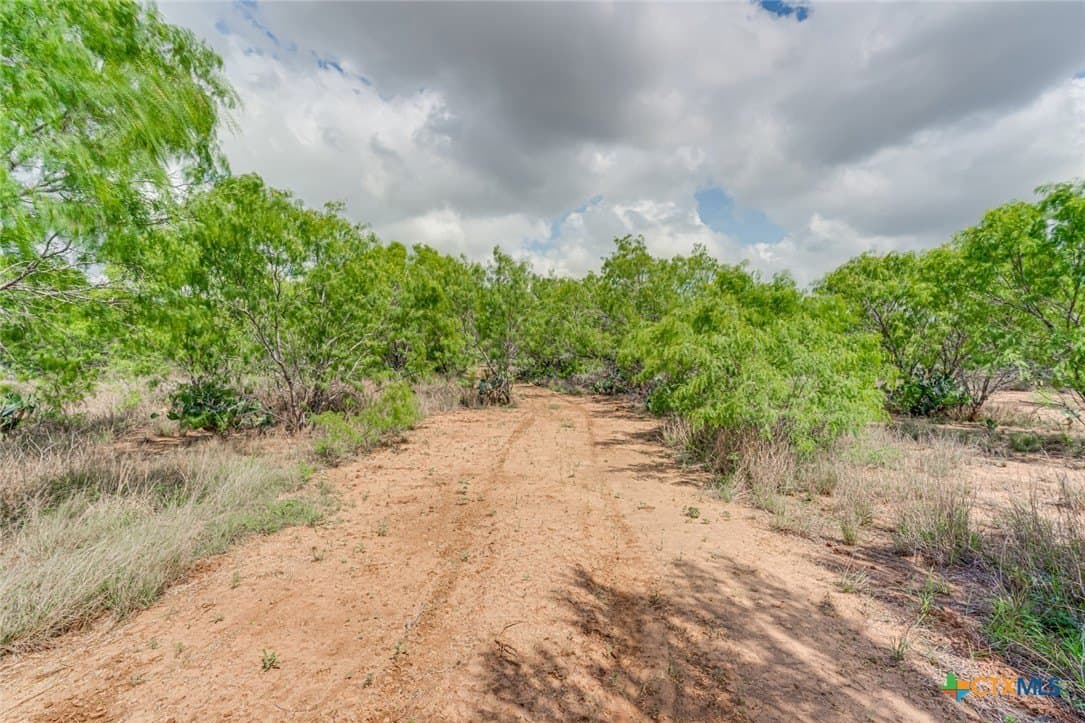 12.04 acres in Atascosa County - photo 15