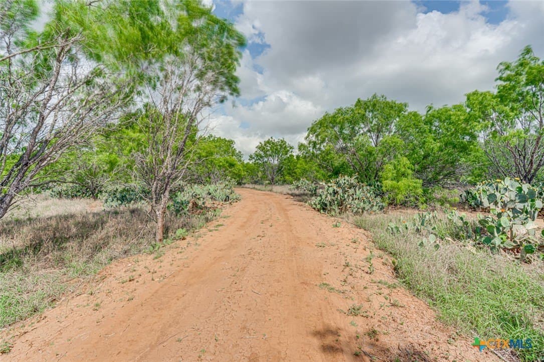 12.04 acres in Atascosa County - photo 18