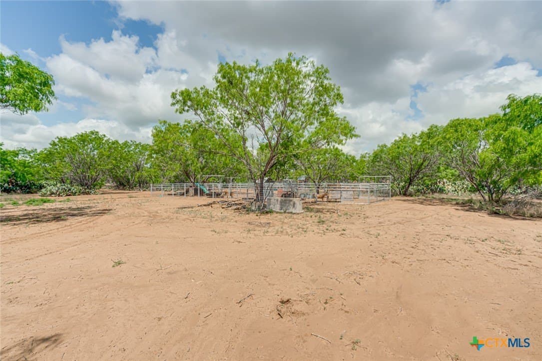 12.04 acres in Atascosa County - photo 16