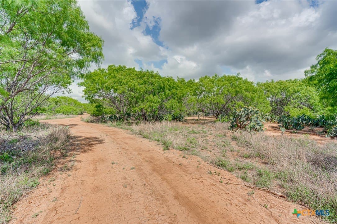 12.04 acres in Atascosa County - photo 19