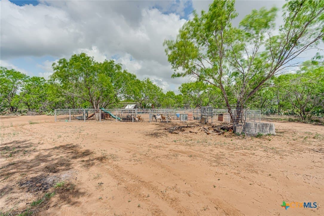 12.04 acres in Atascosa County - photo 13