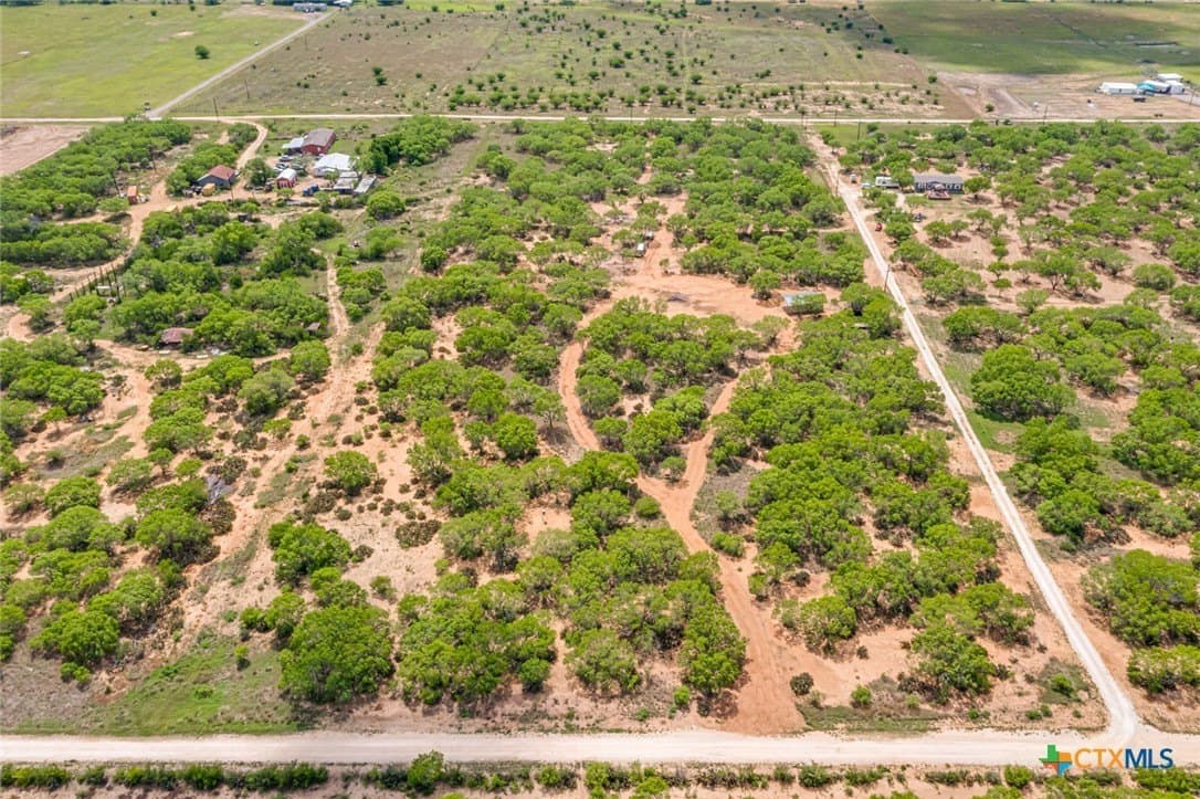 12.04 acres in Atascosa County - photo 29