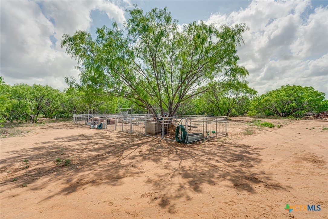 12.04 acres in Atascosa County - photo 11