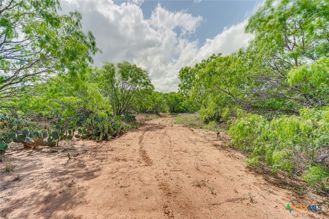 12.04 acres in Atascosa County - photo 14
