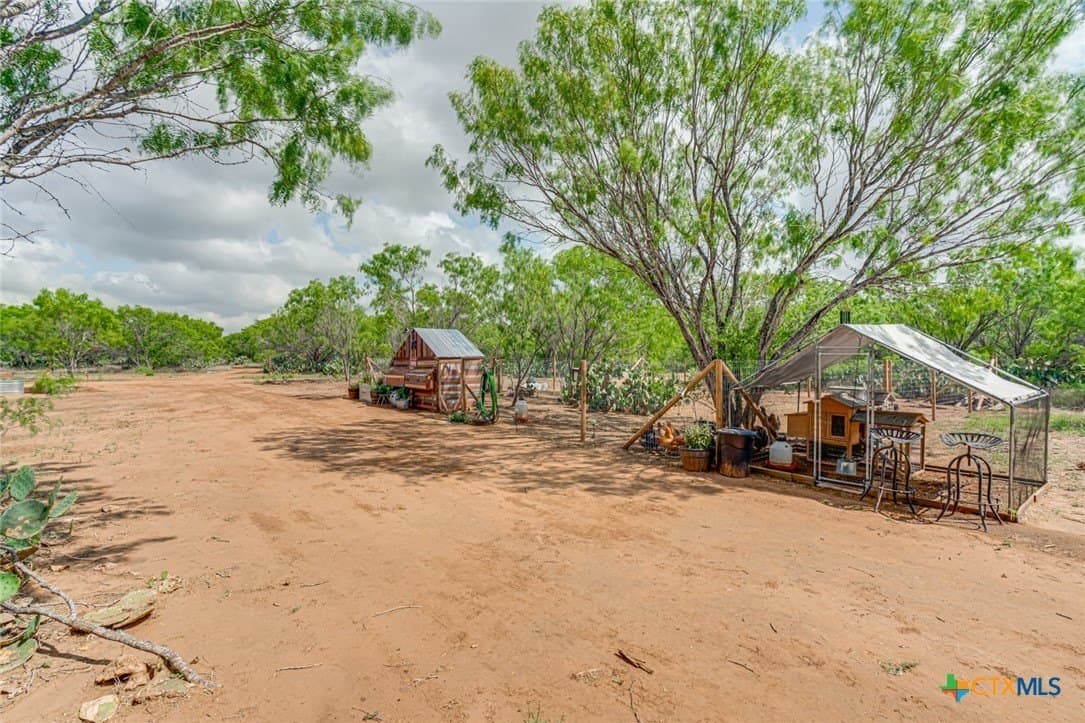 12.04 acres in Atascosa County - photo 10