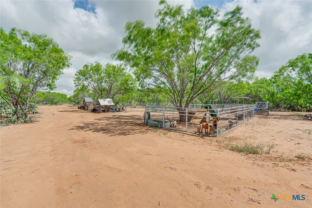 12.04 acres in Atascosa County - photo 12