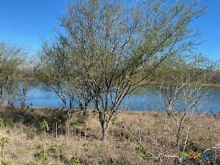 27.7 acres in Karnes County - photo 3
