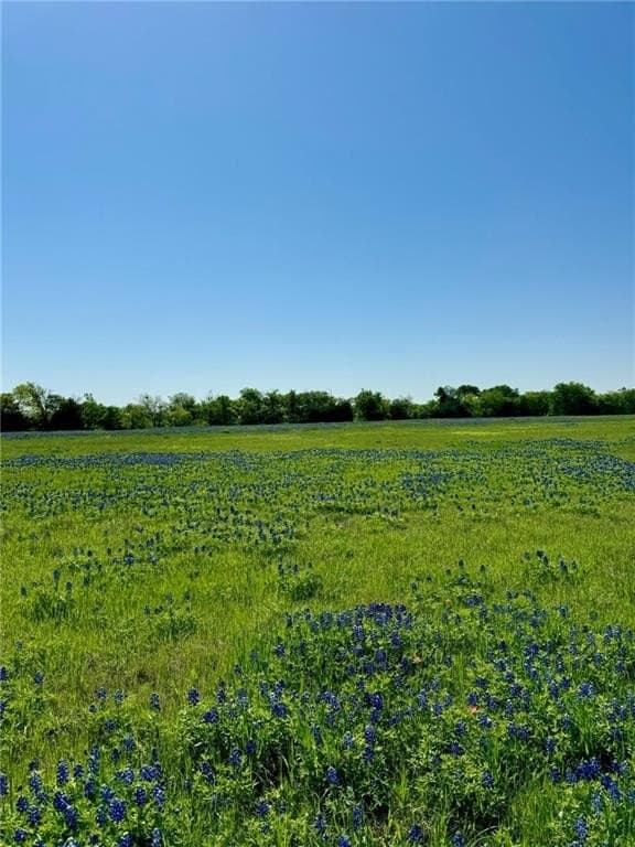 5.01 acres in Hill County - photo 4