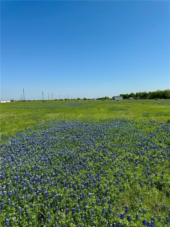5.01 acres in Hill County - photo 10