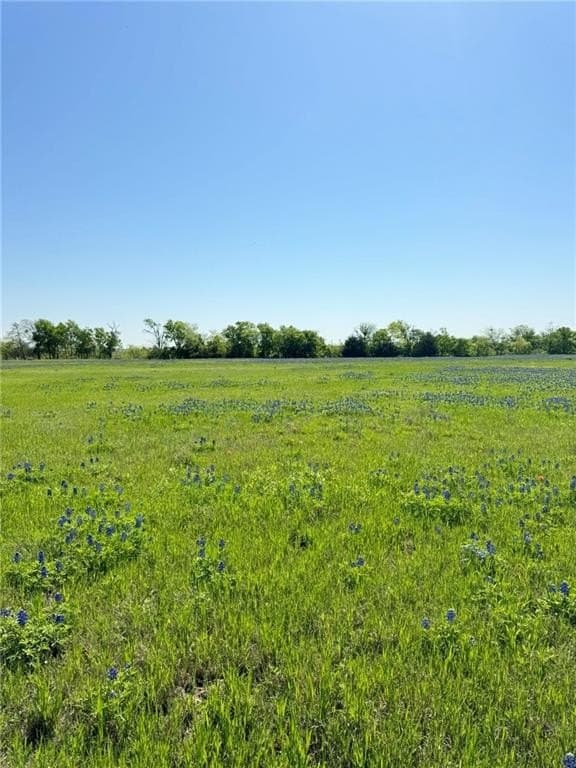 5.01 acres in Hill County - photo 2