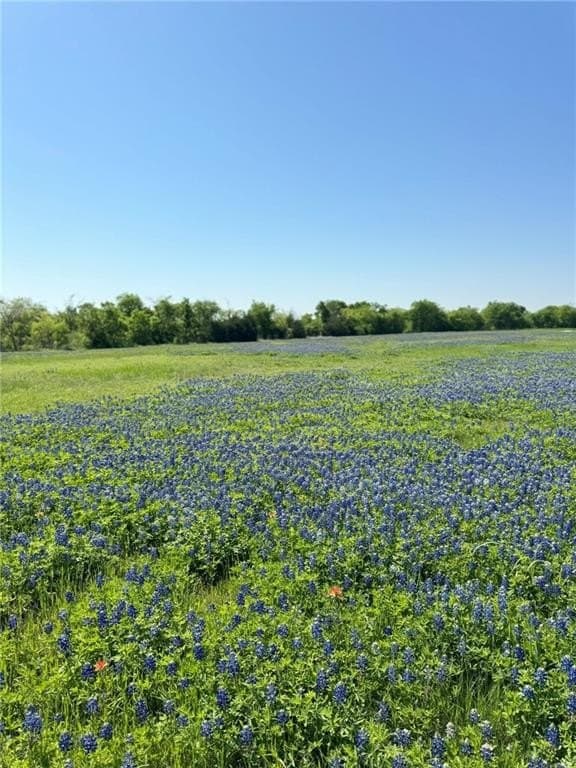 5.01 acres in Hill County - photo 7