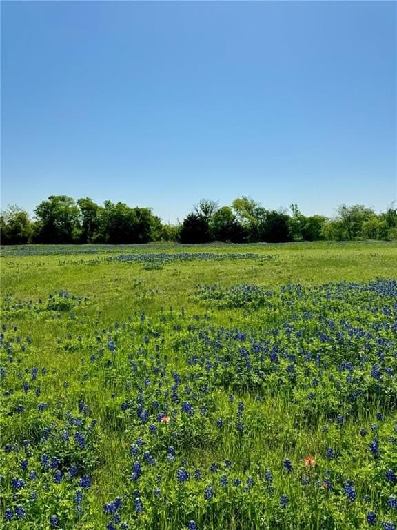 5.01 acres in Hill County - photo 9