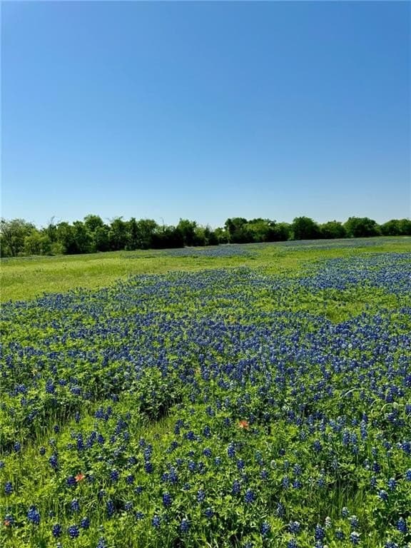 5.01 acres in Hill County - photo 8