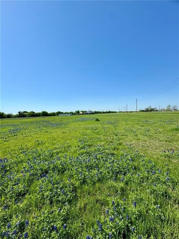 5.01 acres in Hill County - photo 5