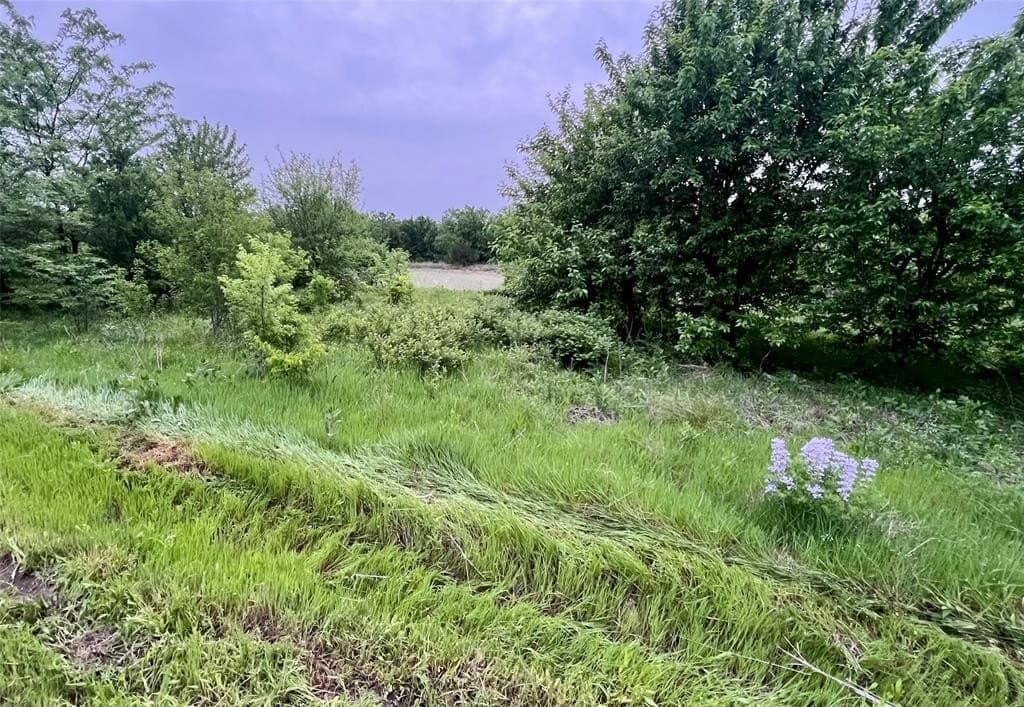 7.18 acres in Collin County - photo 10