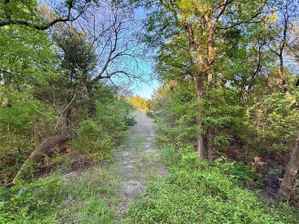 7.18 acres in Collin County - photo 14
