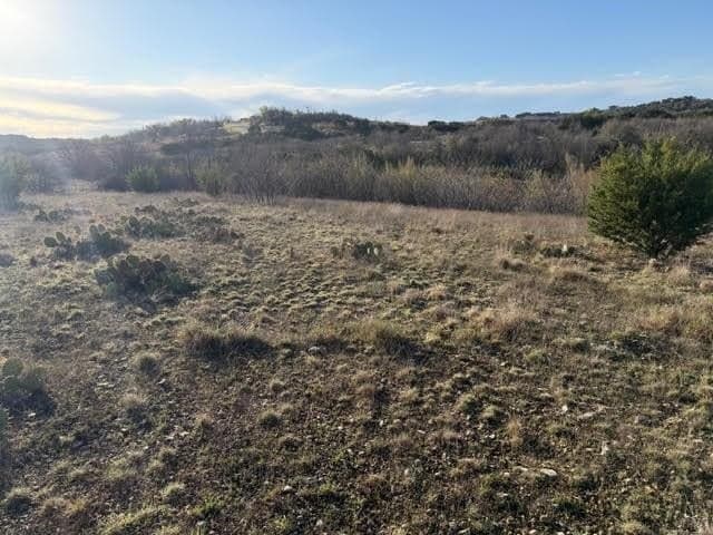 2.01 acres in Palo Pinto County - photo 5