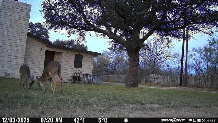 10 acres in Irion County - photo 45
