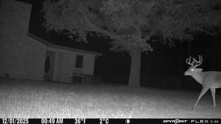 10 acres in Irion County - photo 51