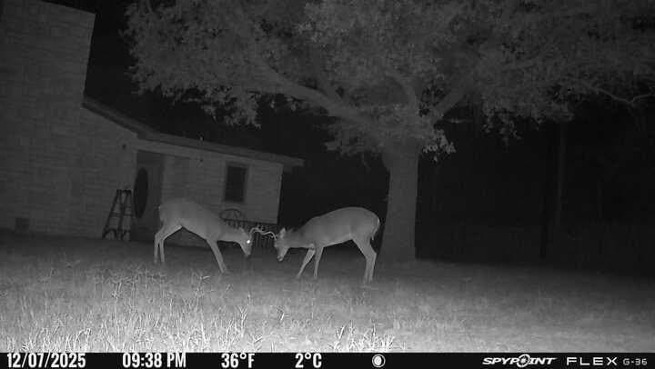 10 acres in Irion County - photo 52