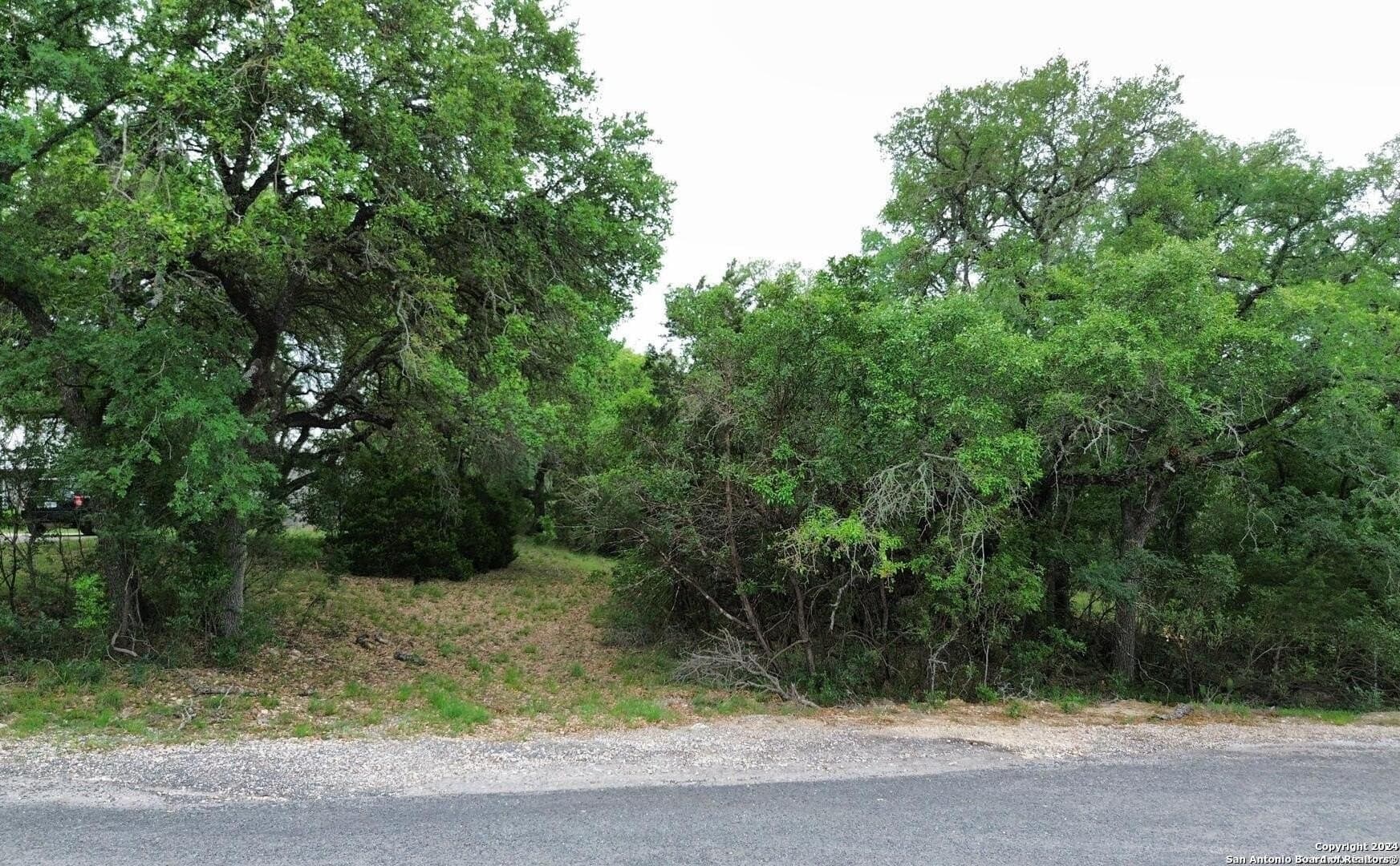 1.78 acres in Bexar County - photo 2