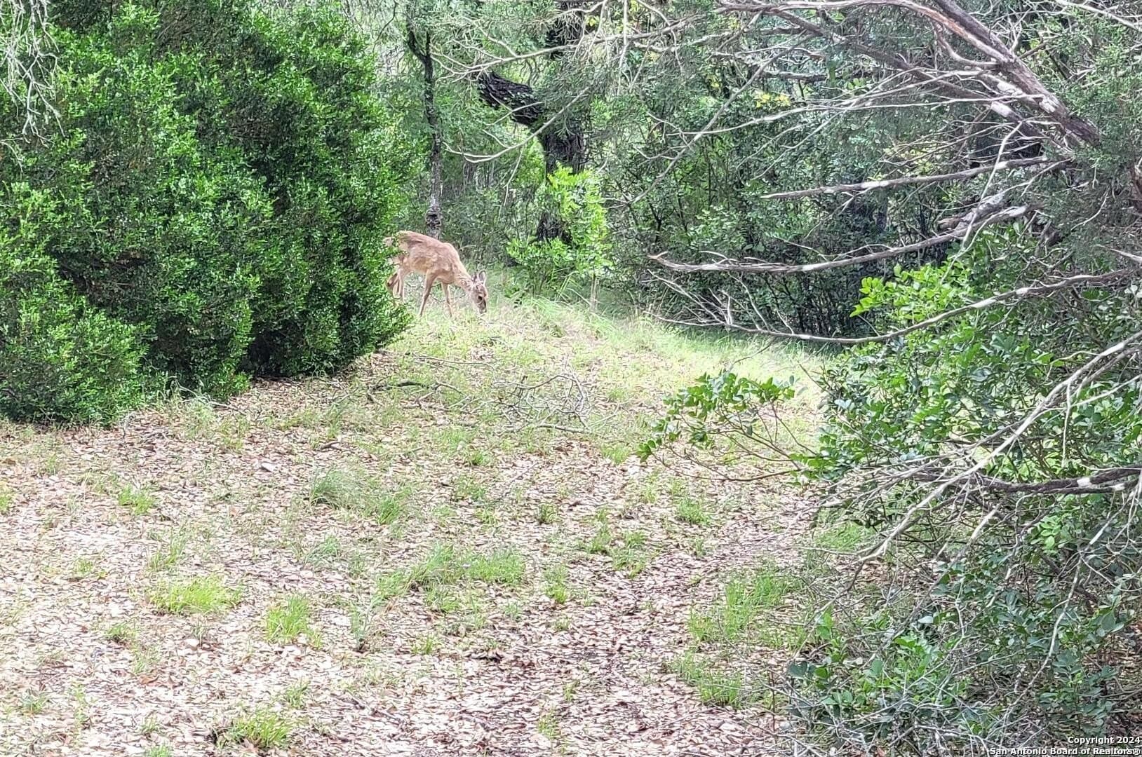 1.78 acres in Bexar County - photo 3