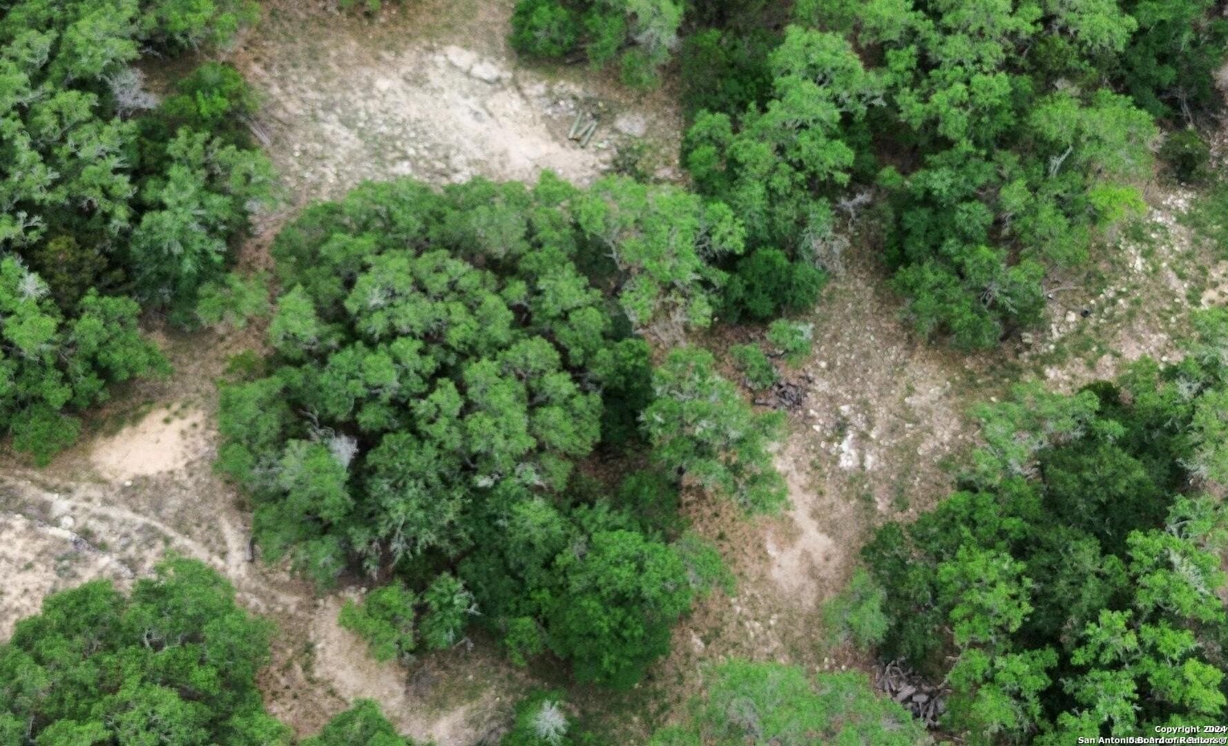 1.78 acres in Bexar County - photo 4