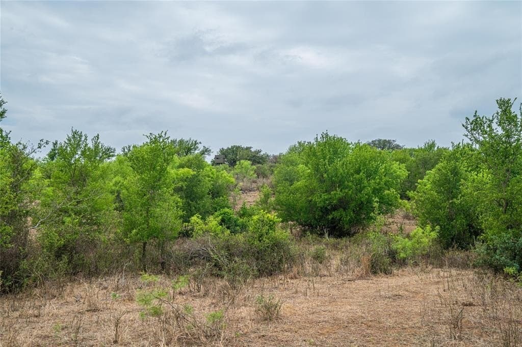 485 acres in San Saba County - photo 22