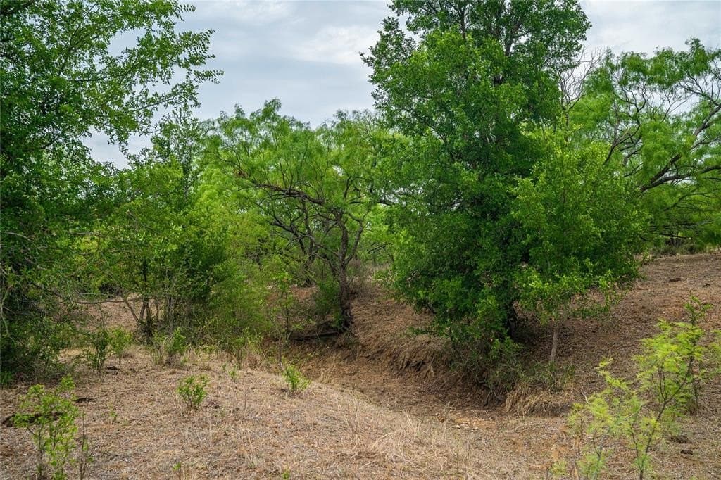 485 acres in San Saba County - photo 23