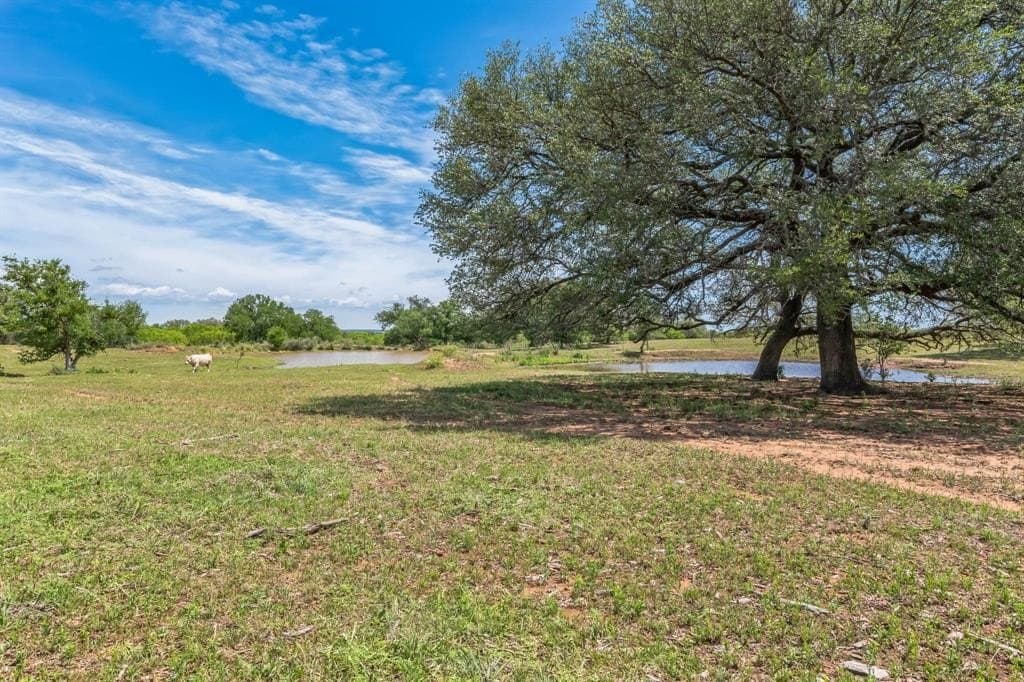 485 acres in San Saba County - photo 29