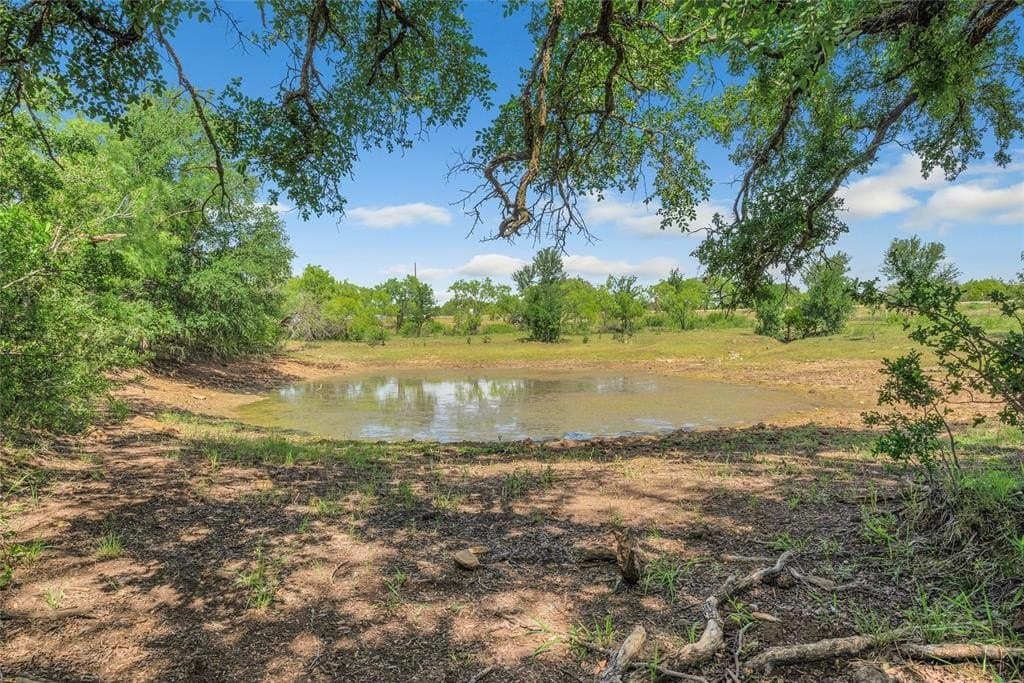 485 acres in San Saba County - photo 5