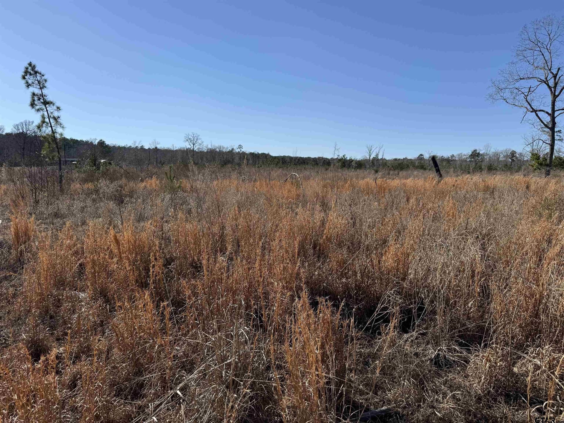 10 acres in Cherokee County - photo 9
