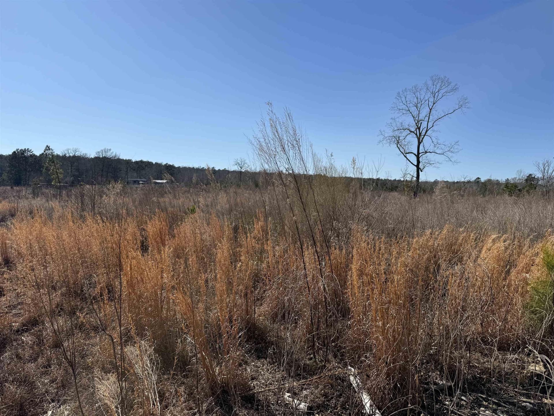 10 acres in Cherokee County - photo 8