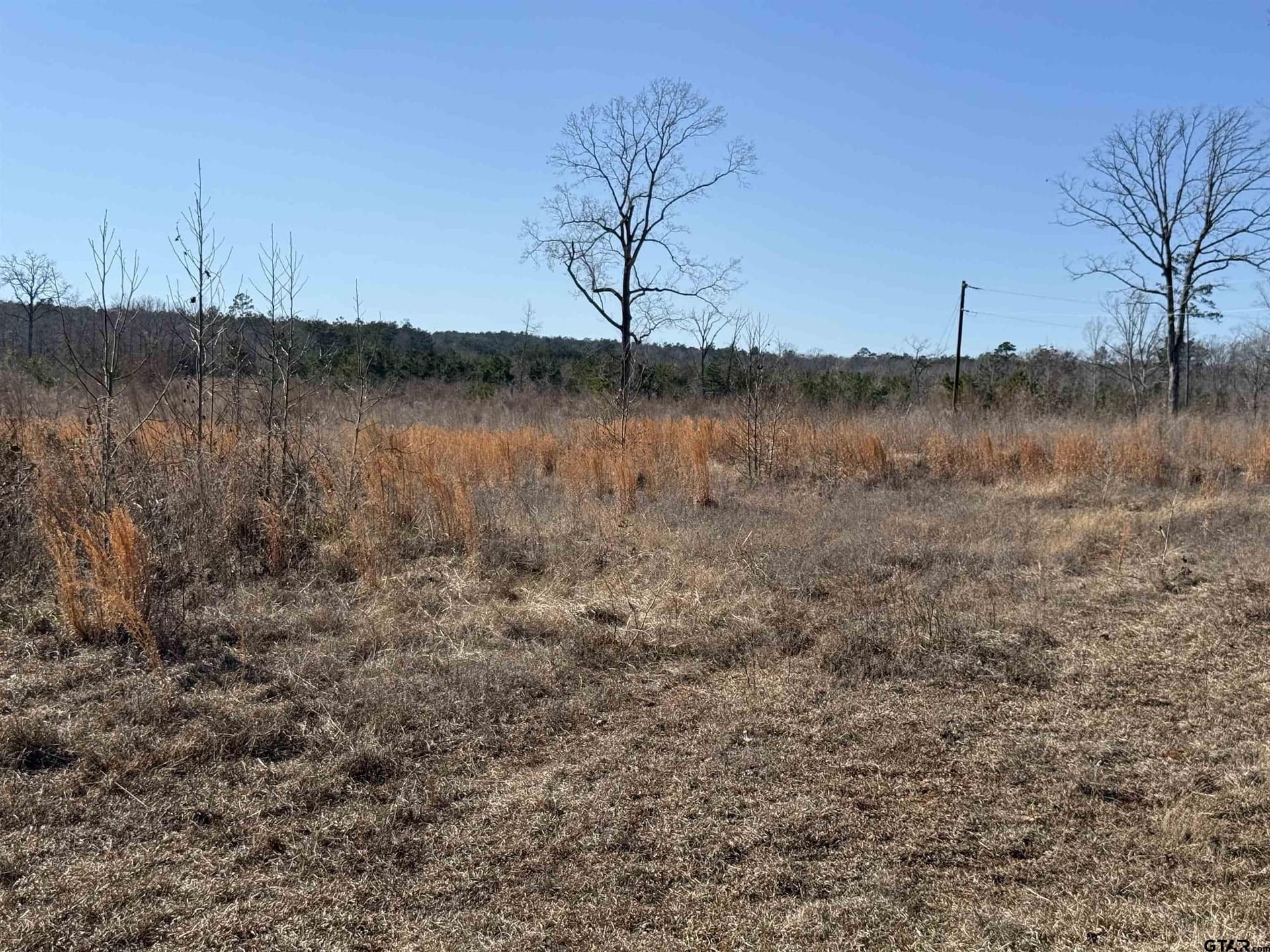 10 acres in Cherokee County - photo 5