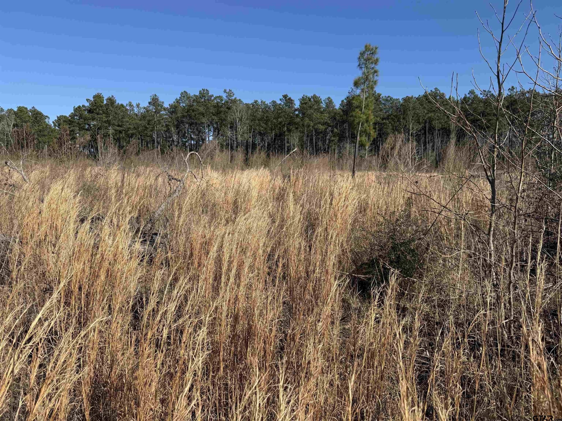 10 acres in Cherokee County - photo 2