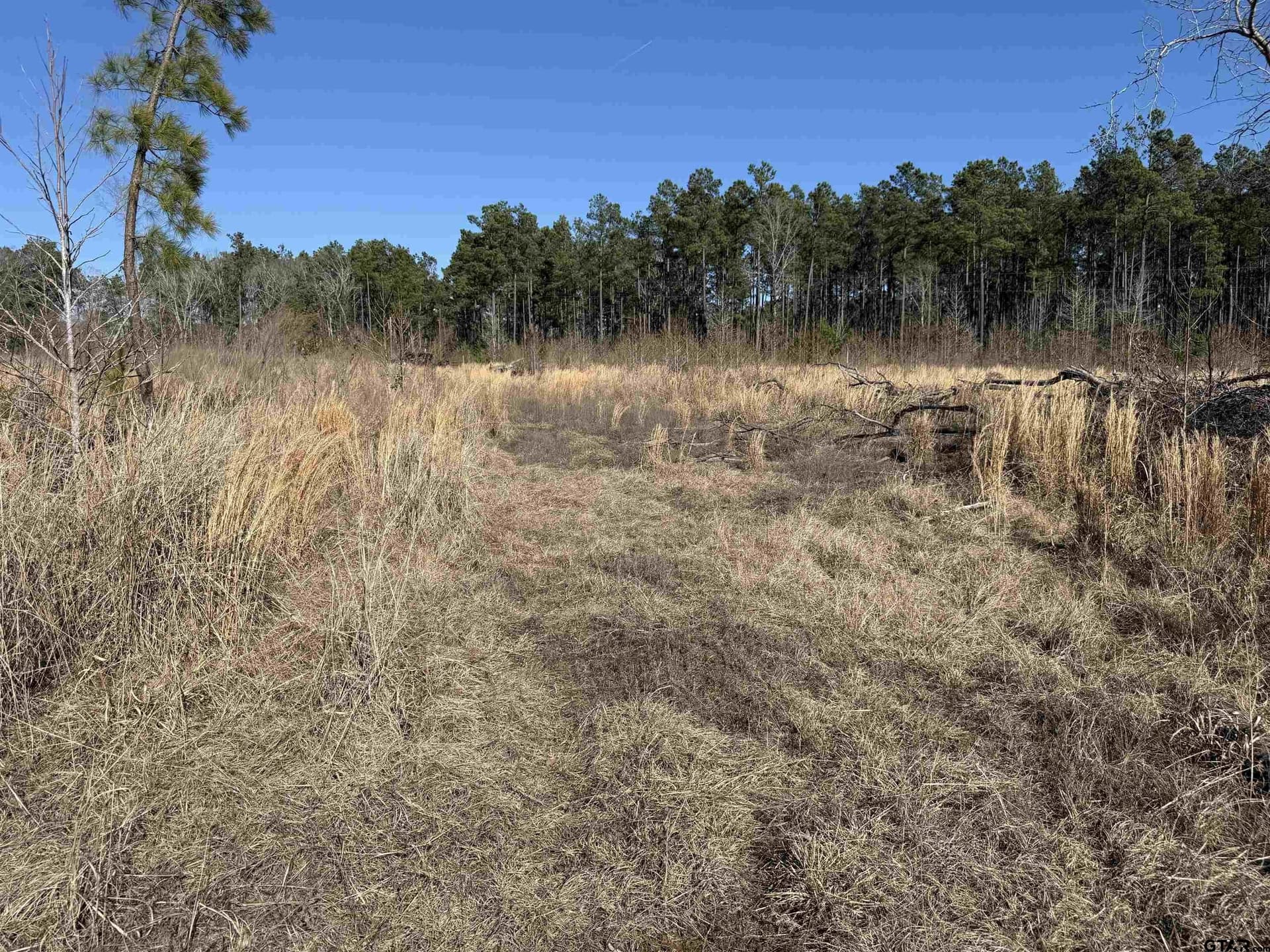 10 acres in Cherokee County - photo 13